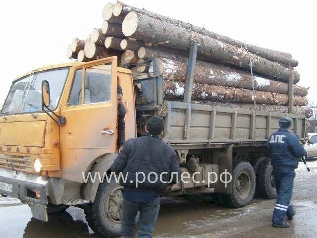Предприятия, специализирующиеся на заготовке древесины, могут получить отсрочку по платежам за аренду лесных участков при условии сохранения рабочих мест